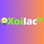 Xoilactviicc Used domain Profile Picture