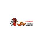 SV388 Profile Picture