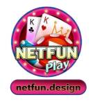 netfun fun Profile Picture