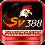 sv388com buzz Profile Picture