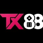 TX88 it com Profile Picture