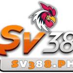 SV388 Ph Profile Picture