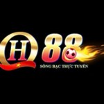 qh88 beyond Profile Picture