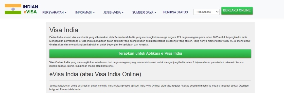 INDIAN ELECTRONIC VISA Cover Image
