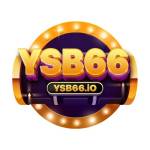 YSB 66 Profile Picture
