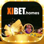 xibet homes Profile Picture
