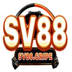 Sv88 Gripe Profile Picture