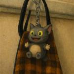 Rajesh Dixit Profile Picture