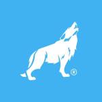 GUILHERME DOS SANTOS Profile Picture