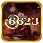 6623 vnshop Profile Picture