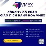 Thanh Vmex Profile Picture