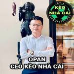 CEO OPAN Profile Picture