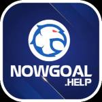 nowgoal site Profile Picture