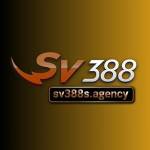 SV388 LINK TRỰC TIẾP ĐÁ GÀ Profile Picture