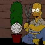 Martin De Vita Profile Picture