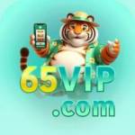 65vip netbr Profile Picture