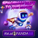 raja pandaa88 Profile Picture