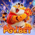 PGV bet Profile Picture