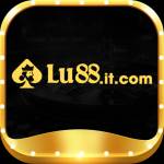 lu88 it Profile Picture