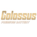 Ắc Quy Colossus profile picture