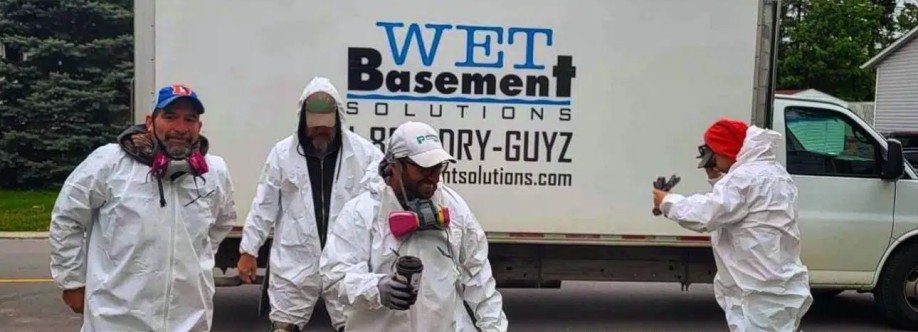 Wet Basement Solutions Cover Image