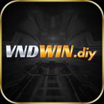 VNDWIN VNDWIN Profile Picture