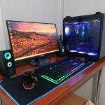 fdsfds fdsfdsg Profile Picture