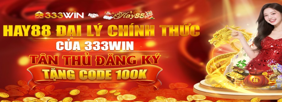 333Win ltd Cover Image