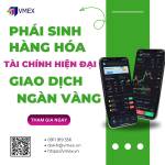 Dung Vmex profile picture