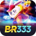 BR333 Profile Picture