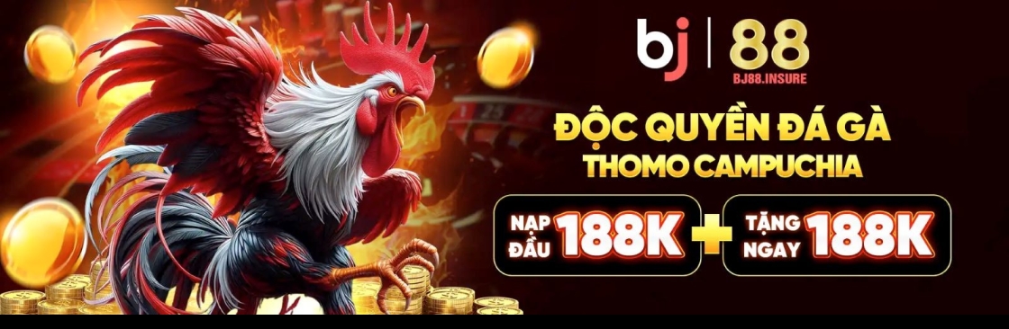 BJ88 Insure Cover Image