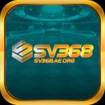 Nhà cái sv368 Profile Picture