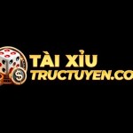 Tài Xỉu Online Trò chơi đỏ đen hấp dẫn mọi cược Profile Picture