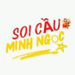 Soi Cầu Minh Ngọc Profile Picture
