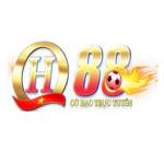 QH88pro me Profile Picture