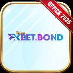 pkbet bond Profile Picture