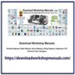 downloadworkshop manuals Profile Picture