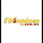 Kèo nhà cái Profile Picture