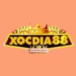 XOCDIA88 WALES Profile Picture