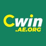 CWIN Việt Nam Profile Picture