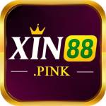 XIN 88 Profile Picture