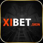 xibet skin Profile Picture