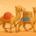 Saad Abdullah Profile Picture