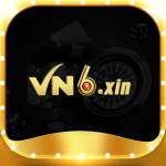 Vn6 Xin Profile Picture