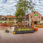 Hey Beachvilla profile picture