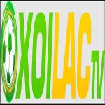 percyjacksonthemovie com giả mạo Profile Picture