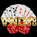 VND Trang chủ chính thức 2025 Profile Picture