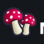 Thalia Morris Profile Picture