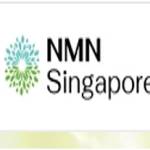 NMN Singapore Profile Picture