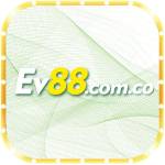 ev88 comco1 Profile Picture